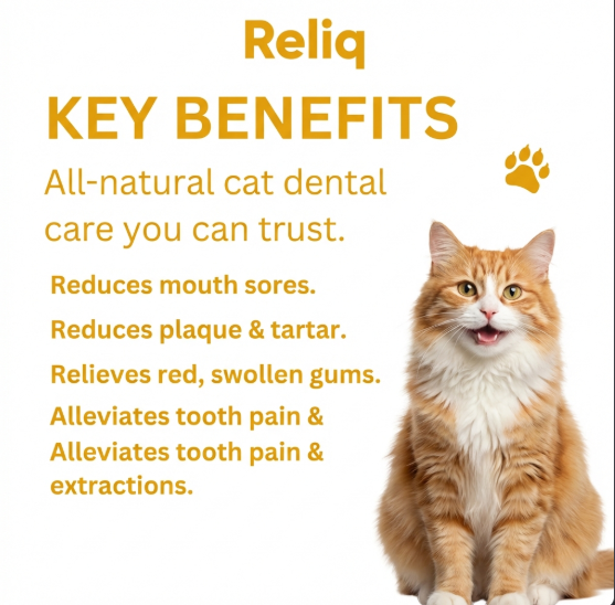 Reliq Dental Powder for Pets