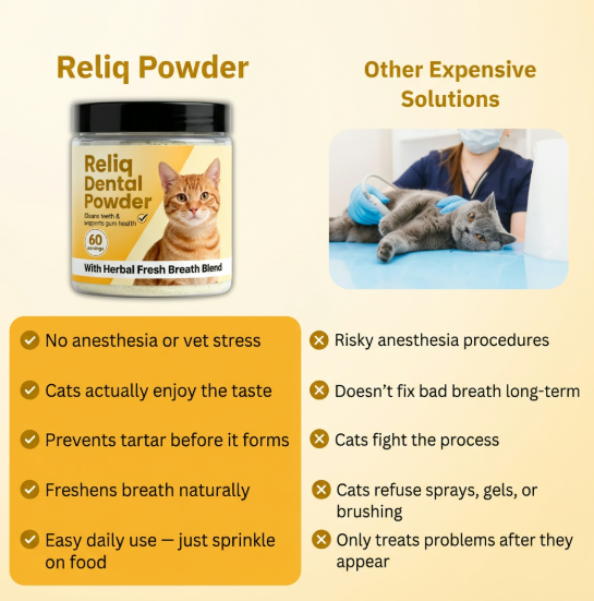 Reliq Dental Powder for Pets