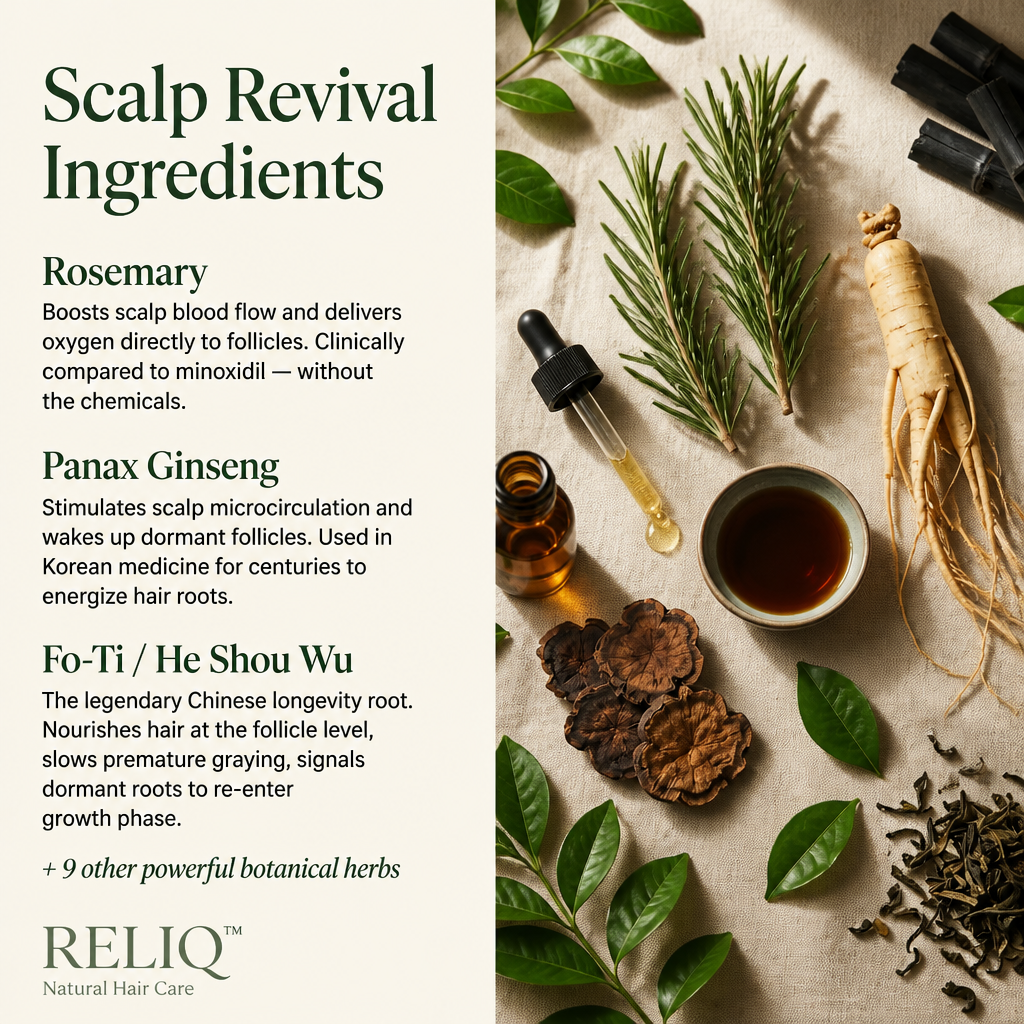 Seoul Scalp Bar