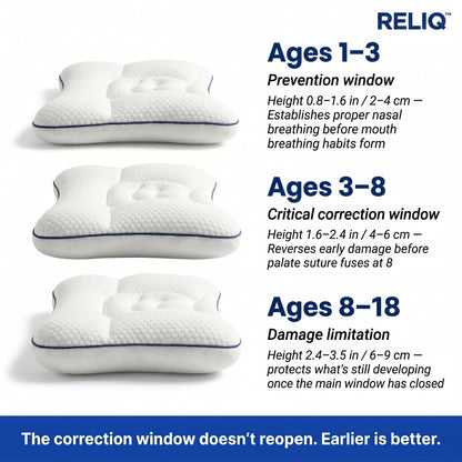 Reliq Posture Kids Pillow